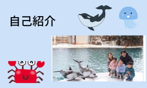 自己紹介